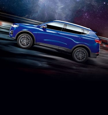 صورة هافال H6 2026 Deluxe SR / P3 رقم 6