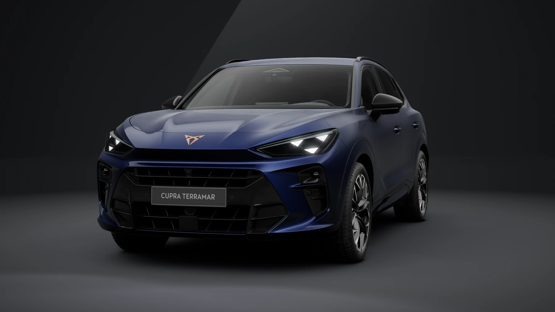Cupra Terramar 2026 - vehicle image